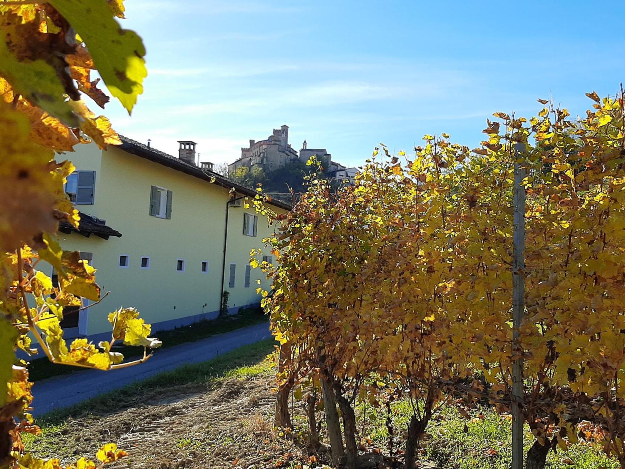 Apartamento Ciabot Delle Aie - Barolo Exterior foto