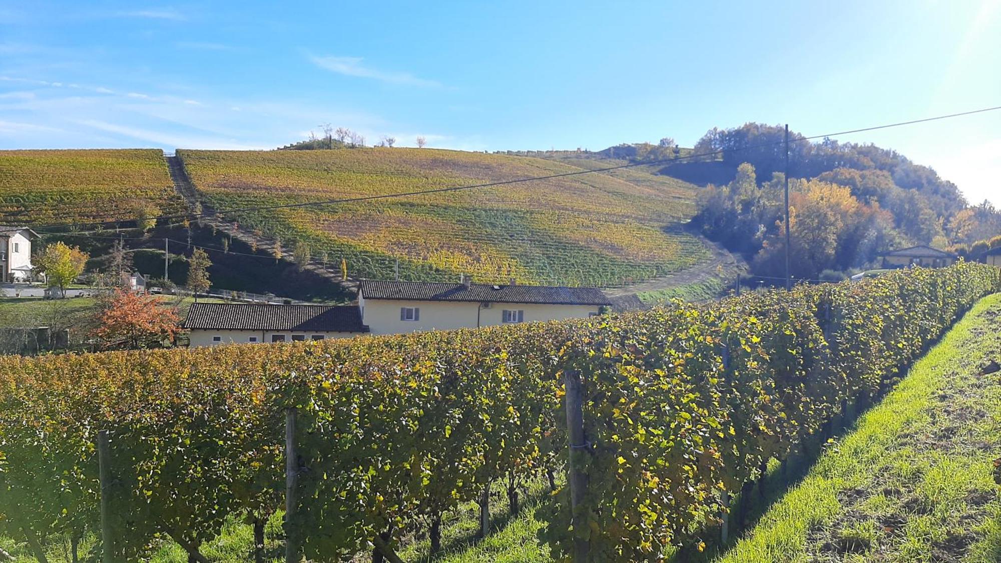 Apartamento Ciabot Delle Aie - Barolo Exterior foto